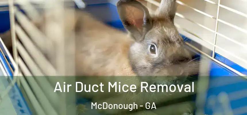  Air Duct Mice Removal McDonough - GA