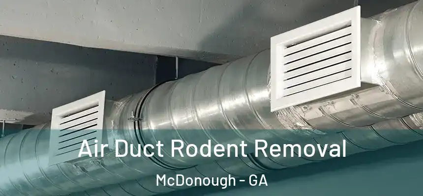  Air Duct Rodent Removal McDonough - GA