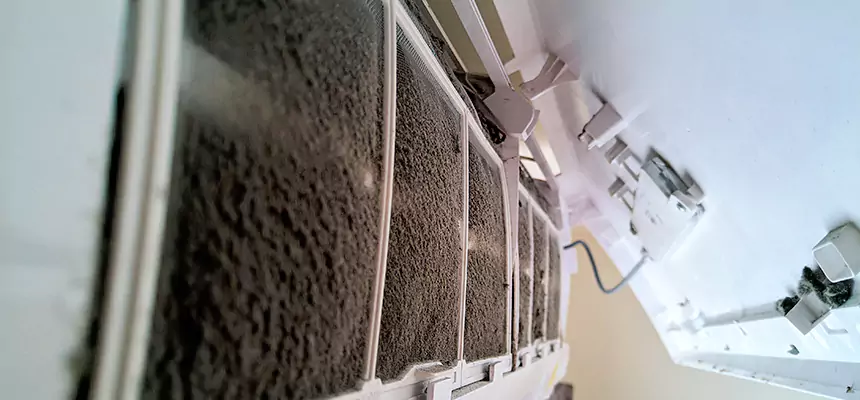 Preventive Air Duct Bacteria Removal in McDonough