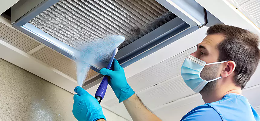 Proactive Dryer Vent & Auxiliary Duct Pollen Cleanup in McDonough, GA