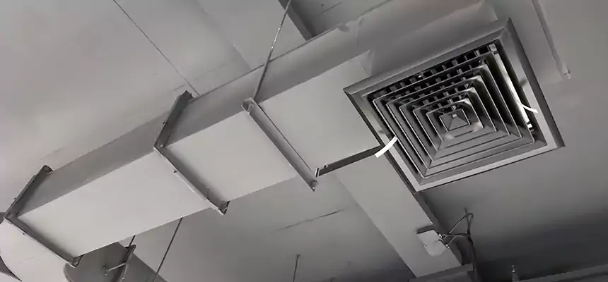 Restorative Allergy Relief Vent Cleaning – Coil, Blower & Housing Detail in McDonough