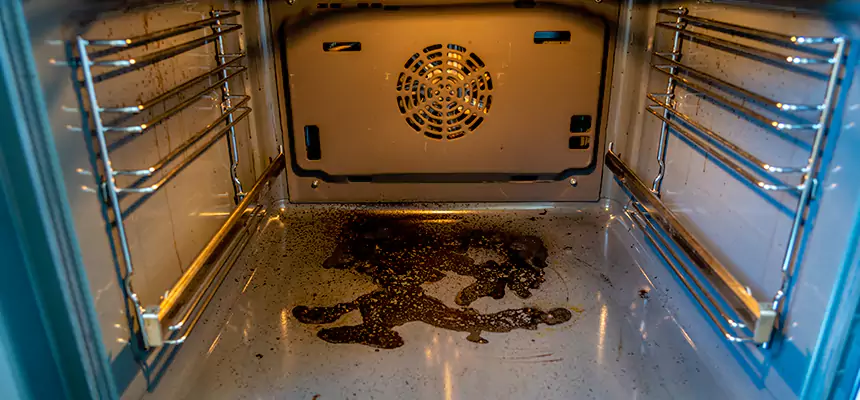 Our Dryer Vent Mold Cleaning Services in McDonough, GA