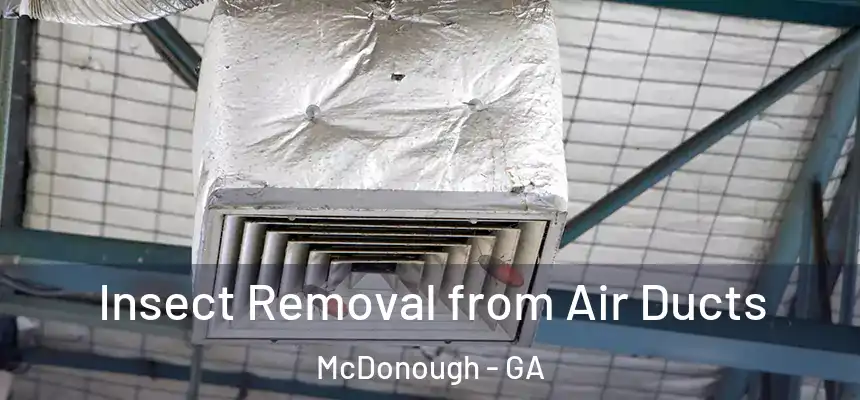  Insect Removal from Air Ducts McDonough - GA