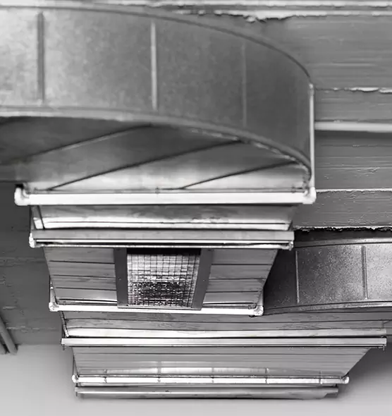 Professional Air Duct Pest Removal in McDonough, GA