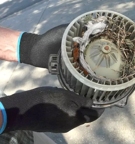 About Air Duct Rat Removal in McDonough, GA