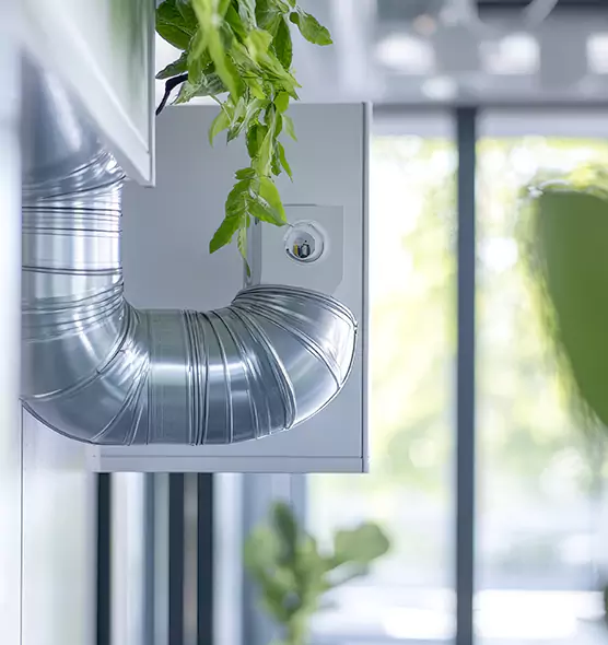 Professional Eco-Safe Dryer Vent Cleaning in McDonough, GA